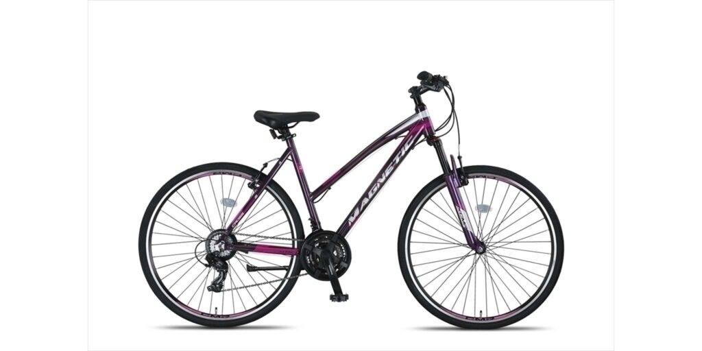 Altec Magnetic Trekking V-Brakes Damesfiets 28 inch 52 cm Gray-pink